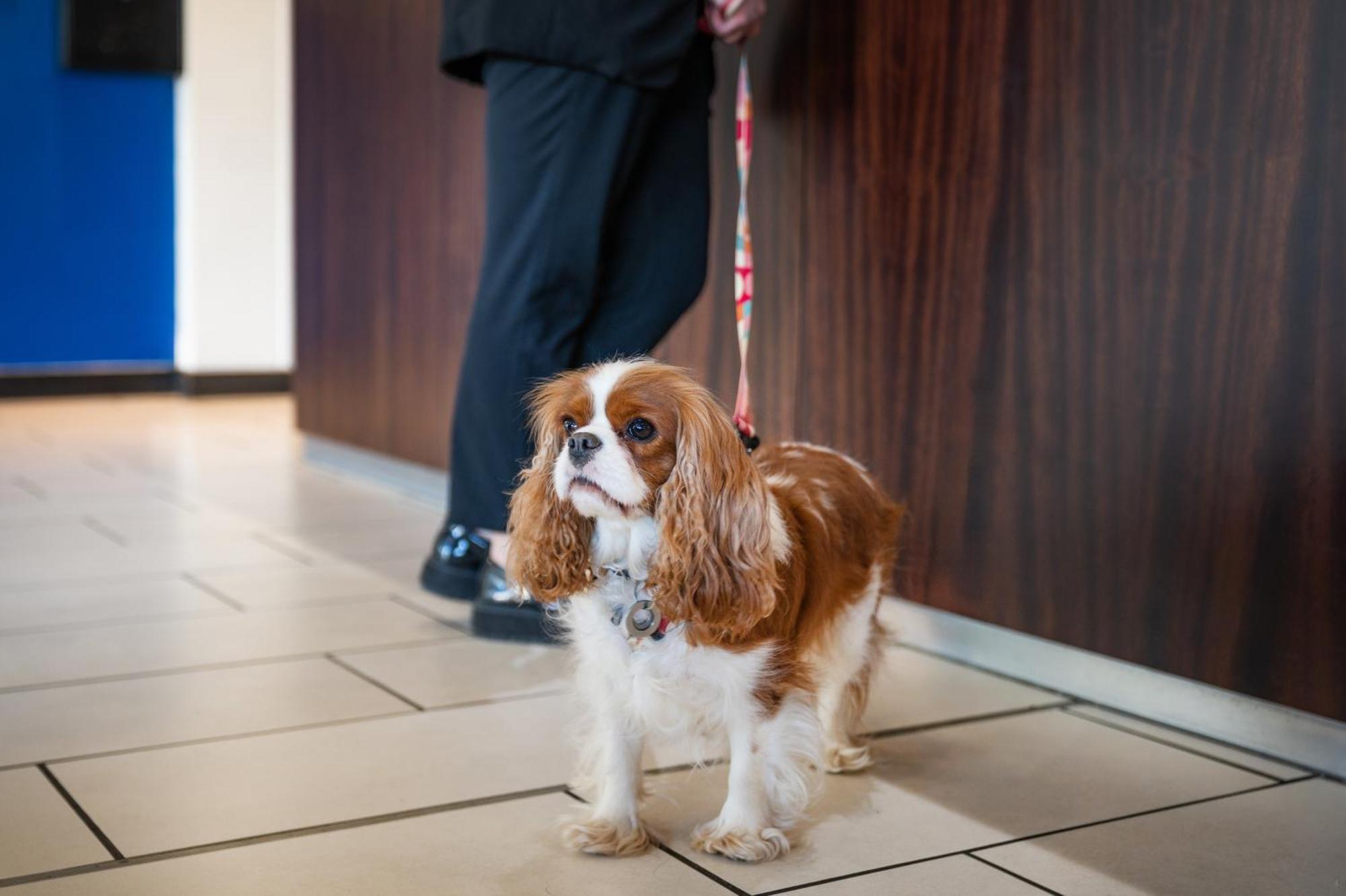 Holiday Inn Express Cambridge Duxford M11 Jct 10 By Ihg Extérieur photo
